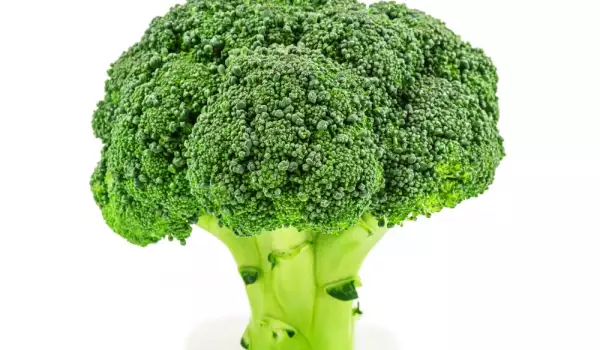 Broccoli voor gezonde ogen