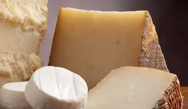 Goudse kaas
