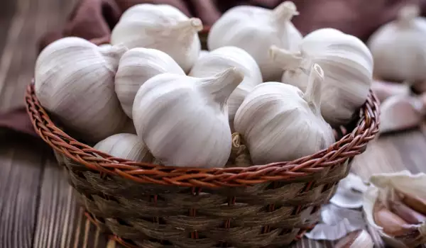 Knoflook
