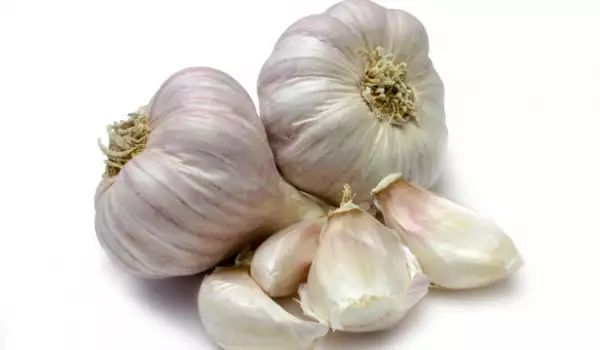 knoflook ontgiften
