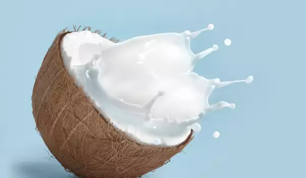 Kokosmelk gezondheid