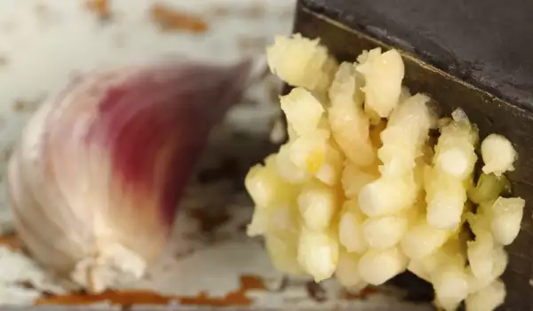 Knoflook