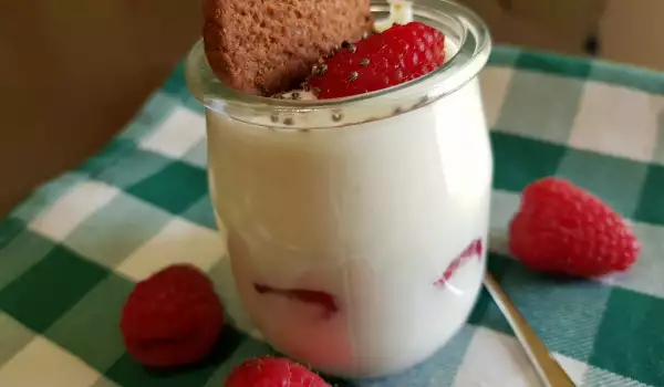 Zelfgemaakte Griekse yoghurt met frambozen en koekjes