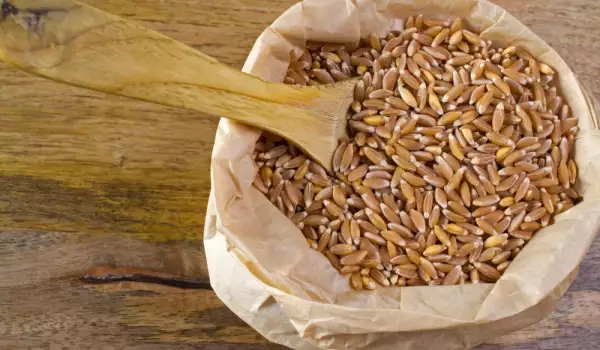 Spelt