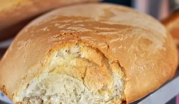 Glutenvrij brood