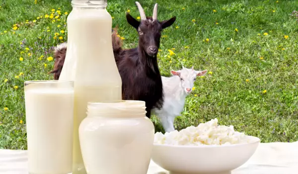 Welke melk komt het dichtst bij moedermelk?