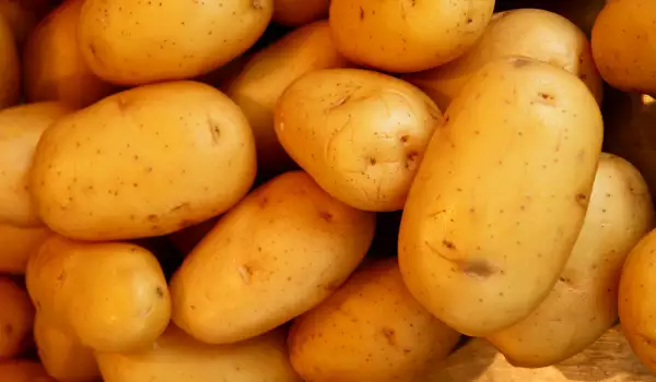 Aardappel