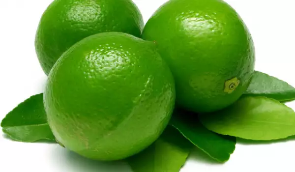 Citrus - Limoen