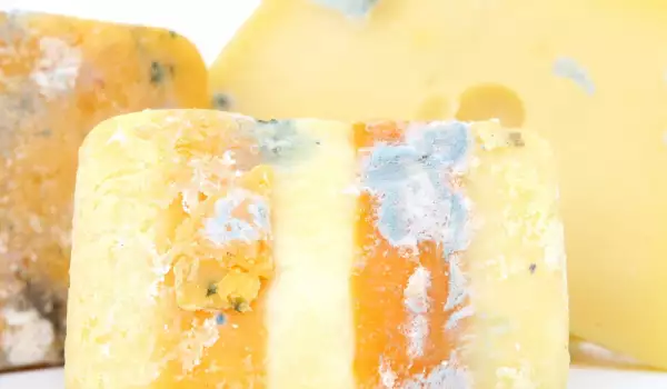 Waarom verschijnt er schimmel op kaas?