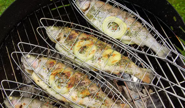 Regenboogforel grillen