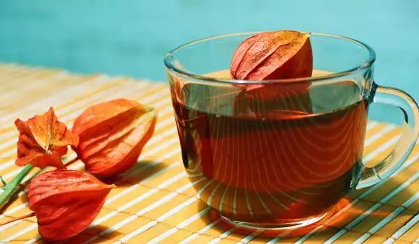 physalis thee