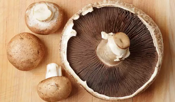Portobello paddenstoelen