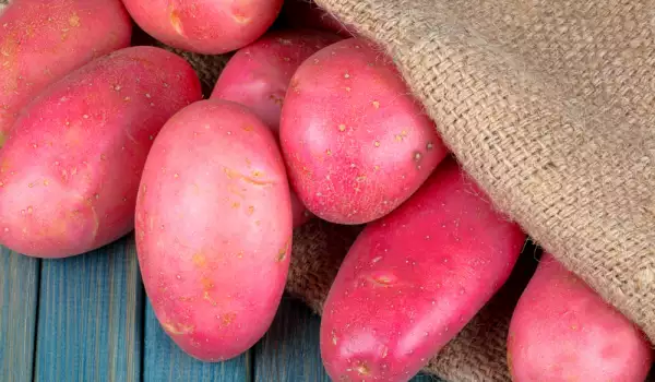 Rode aardappelen bevatten eiwitten