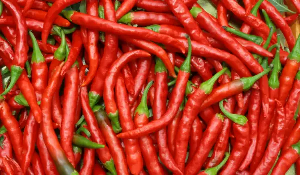 Rode chilipepers