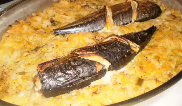 Ovenschotel met makreel, zuurkool en rijst