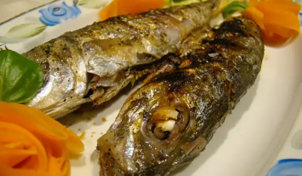 Heerlijke makreel in Griekse stijl