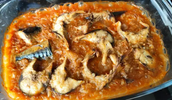 Geroosterde makreel met zuurkool