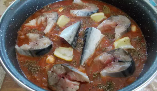 Makreel met tomatensaus en uien uit de oven