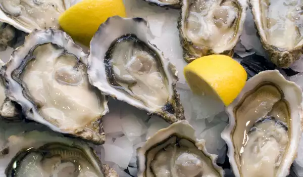 Voordelen van oesters