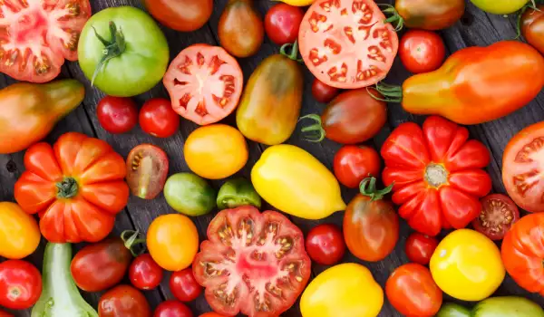 Hoe worden tomaten bewaard?