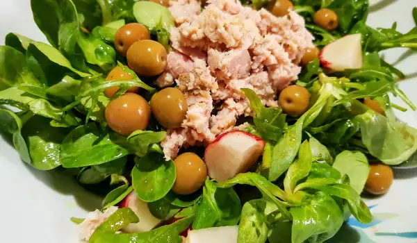 Salade van tonijn, radijs, rucola en valeriaan