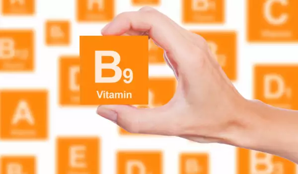 Vitamine B9 foliumzuur