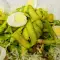 Tagliatelle van asperge met kwarteleitjes