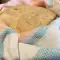 Glutenvrij brood van kikkererwtenmeel