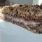 Apfelstrudel met griesmeel