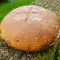 Brood voor diabeten