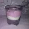 Snelle creme met bosbessen en yoghurt