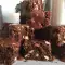 Chocolade brownie