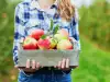 Hoe en waarom appels invriezen?