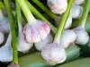 Verschillende redenen om verse knoflook te consumeren
