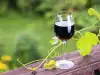 Wat is het verschil tussen Merlot en Cabernet?